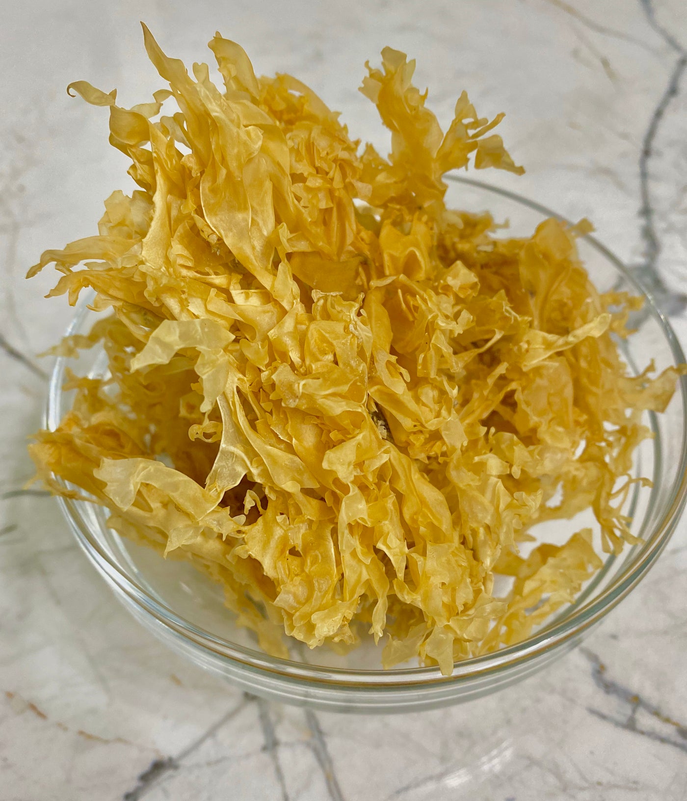 Gold Organic Chondrus Crispus - Irish Moss- Ireland Imported - - Derek Product