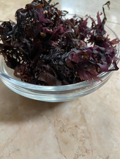 100% Purple Organic Chondrus Crispus - Irish Moss- Ireland Imported - - Derek Product